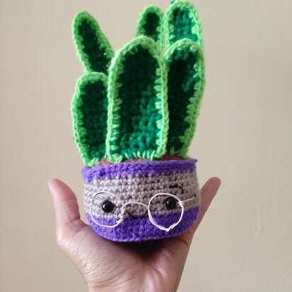 Sansevieria amigurumi