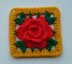 Chinese Rose in square