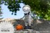 Jack Skellington doll