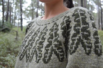 Alocasia Pullover