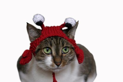 The Crabby Cat hat