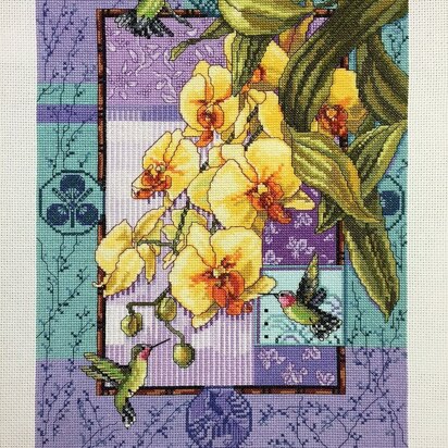 Orchids and Hummingbirds - PDF