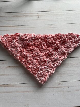 Coral Splash Dishcloth