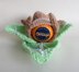 Rabbit in the Lettuce Chocolate Orange Cover Easter