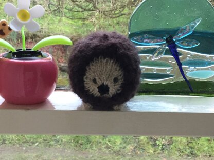 Hettie, the highland Hedgehog