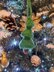 Christmas Tree Ornament