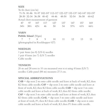 Sandpeep in Rowan Pebble Island - ZB345-00005 - Downloadable PDF