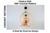 Chakra Doll PDF Crochet Pattern