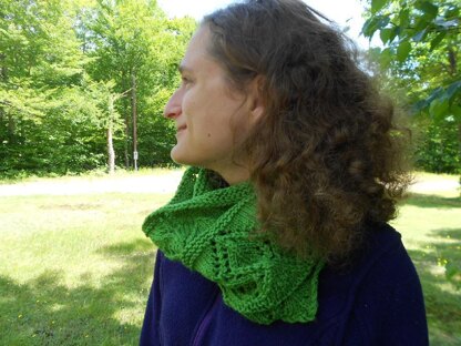 Palm Forest Cowl