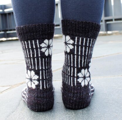 Phlox Socks