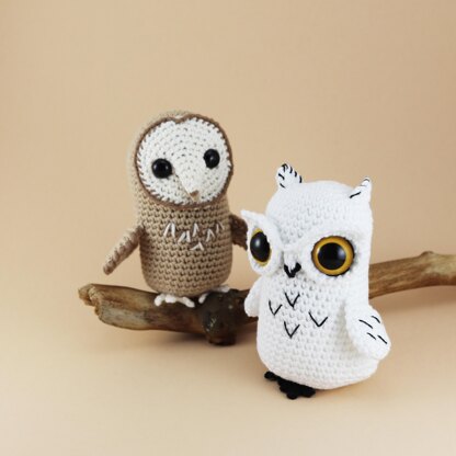 Feathered Owl Friends