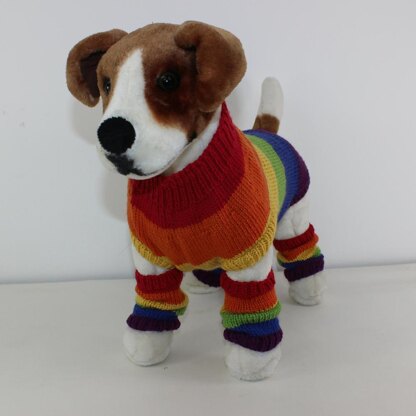 Rainbow Dog Coat and Legwarmers