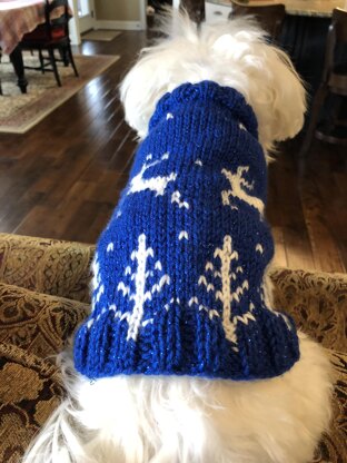 Winter Wonderland dog sweater