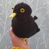 Sid the Blackbird