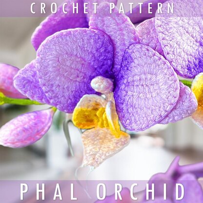 Crochet Phal Orchid Flower Pattern