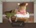 Newborn Horse Set