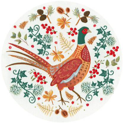 Bothy Threads Folk Pheasant Embroidery Kit - 20cm