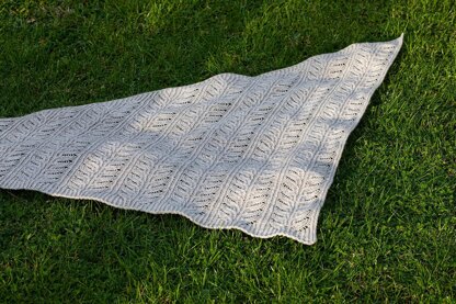 Beanstalk Shawl