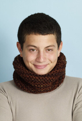 Forest Canopy Cowl in Lion Brand Wool-Ease Thick & Quick - L0540