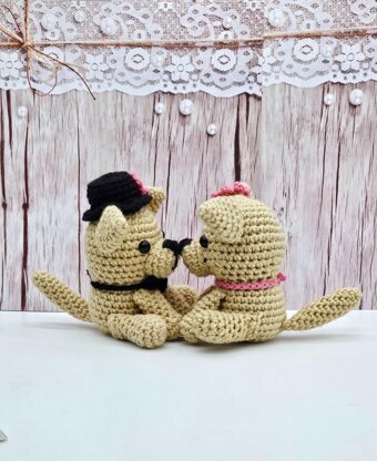 Chihuahua Couple