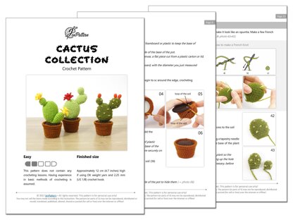 Cactus Collection