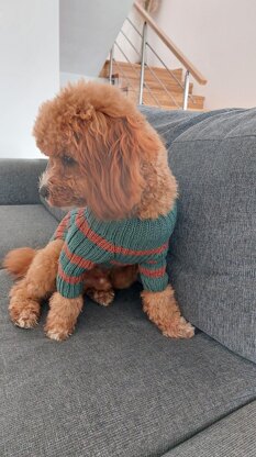 Dog Sweater Charlie No.2