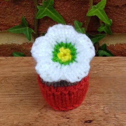 Potted Christmas Rose - Ferrero Rocher Cover - knitting pattern