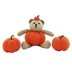 Pumpkin Teddy Bear  19150
