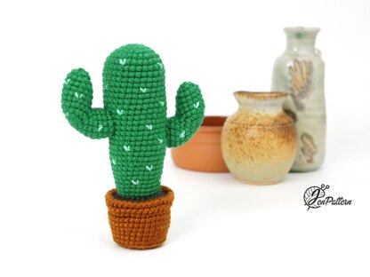 Desert Cactus