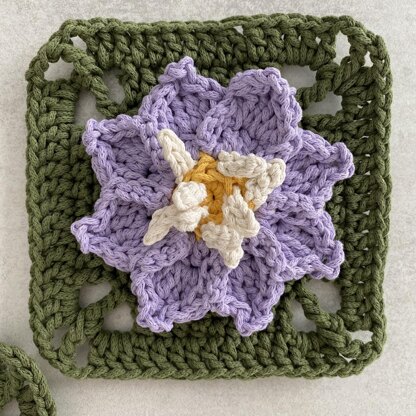 Violet Granny Square