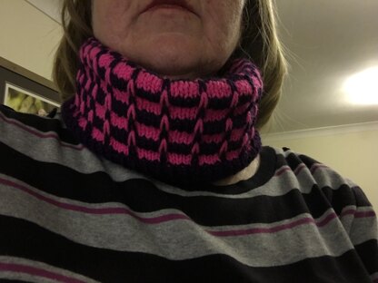 Fittleworth Cowl