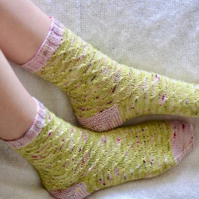 Knotty & Nice Socks