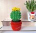 Cactus in a pot_5