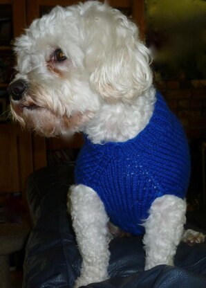 Neckdown Custom-Fit Dog Sweater