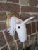 Faux taxidermy unicorn head