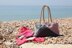 Hove Beach Bag