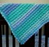 EASY BEGINNER' Bobble Baby Blanket