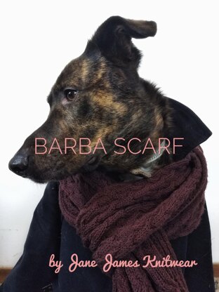 Barba Scarf