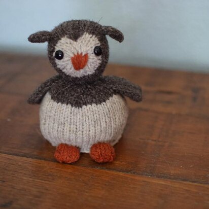Egg to Owl Reversible Toy - knitting pattern