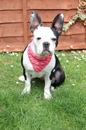 Roxy's Dog Bandana