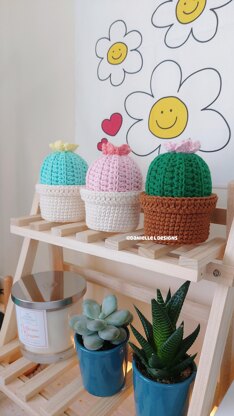 Cactus pin cushion with storage box