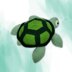 Squishy Turtle Toy