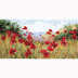 Anchor Maia Kits Clifftop Poppies Cross Stitch Kit - 23 x 45cm