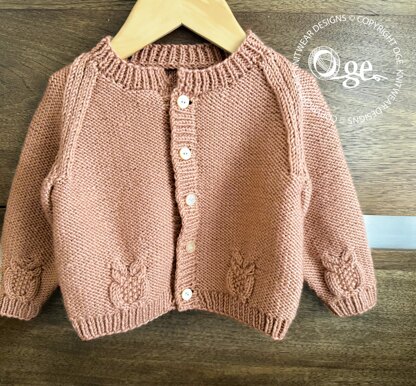 Round neck raglan sleeve cardi with cabled owls - P079