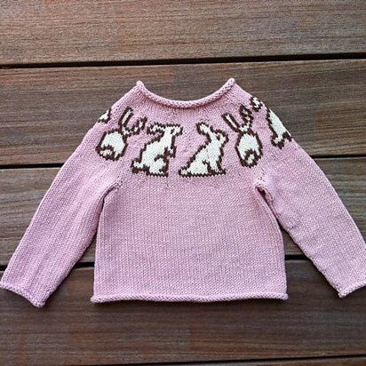 Bunny Yoke Pullover and Hat for Babies and Children