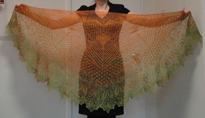 Home on the Range Lace Shawl