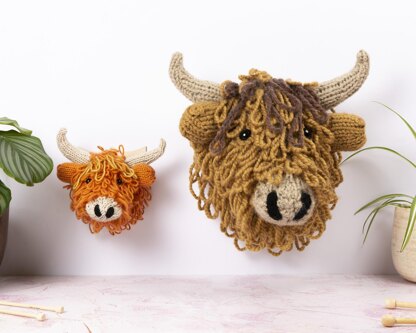 Highland Cow Head