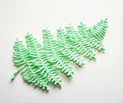 Fern Leaf