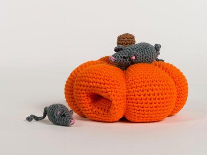 Pumpkin and mice