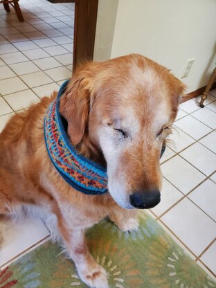 "Golden" Walking Cowl